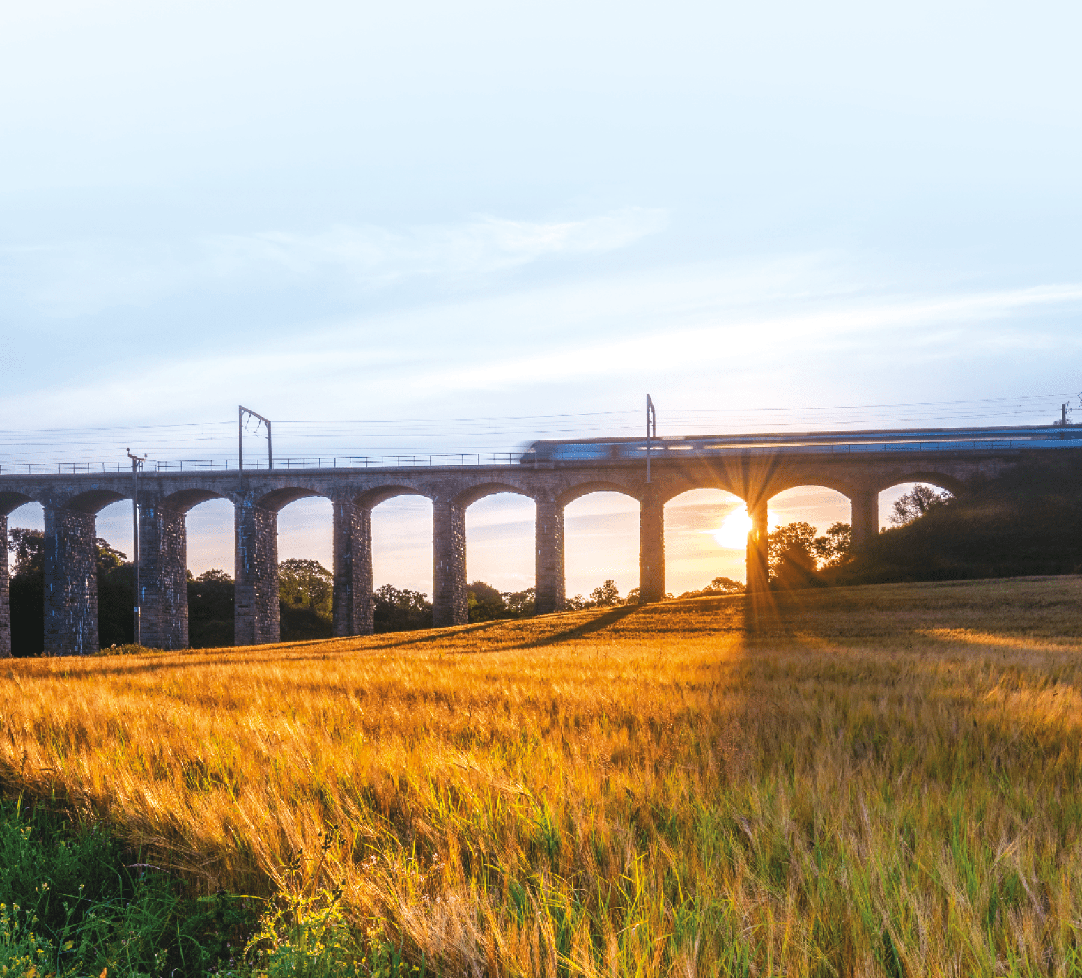 A golden crop of barley below the railway viaduct with motion blurred train at Lesbury, as the River Aln approaches the North Sea at Alnmouth