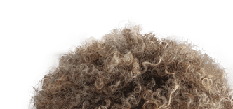 Smiling mid adult woman working on a computer while using mobile phone at home.