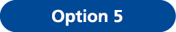 Option 5