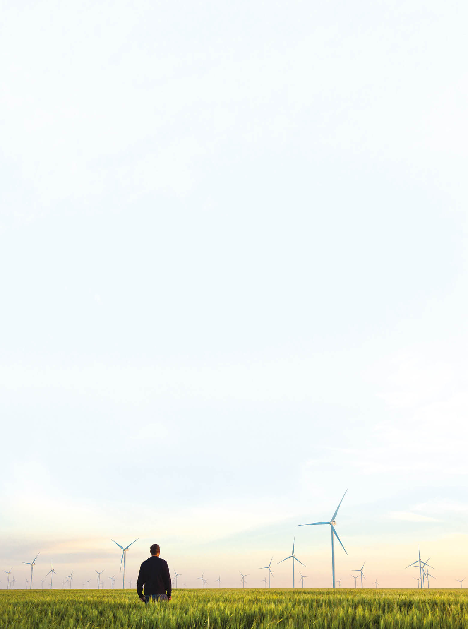 A man standing in a field with windmills in the background. Description generated by AI