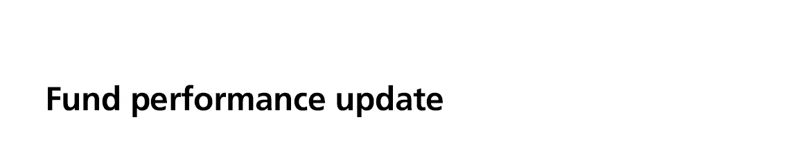 Fund performance update