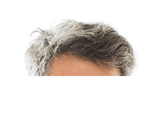 Mature man sitting on sofa at home and using laptop for work.