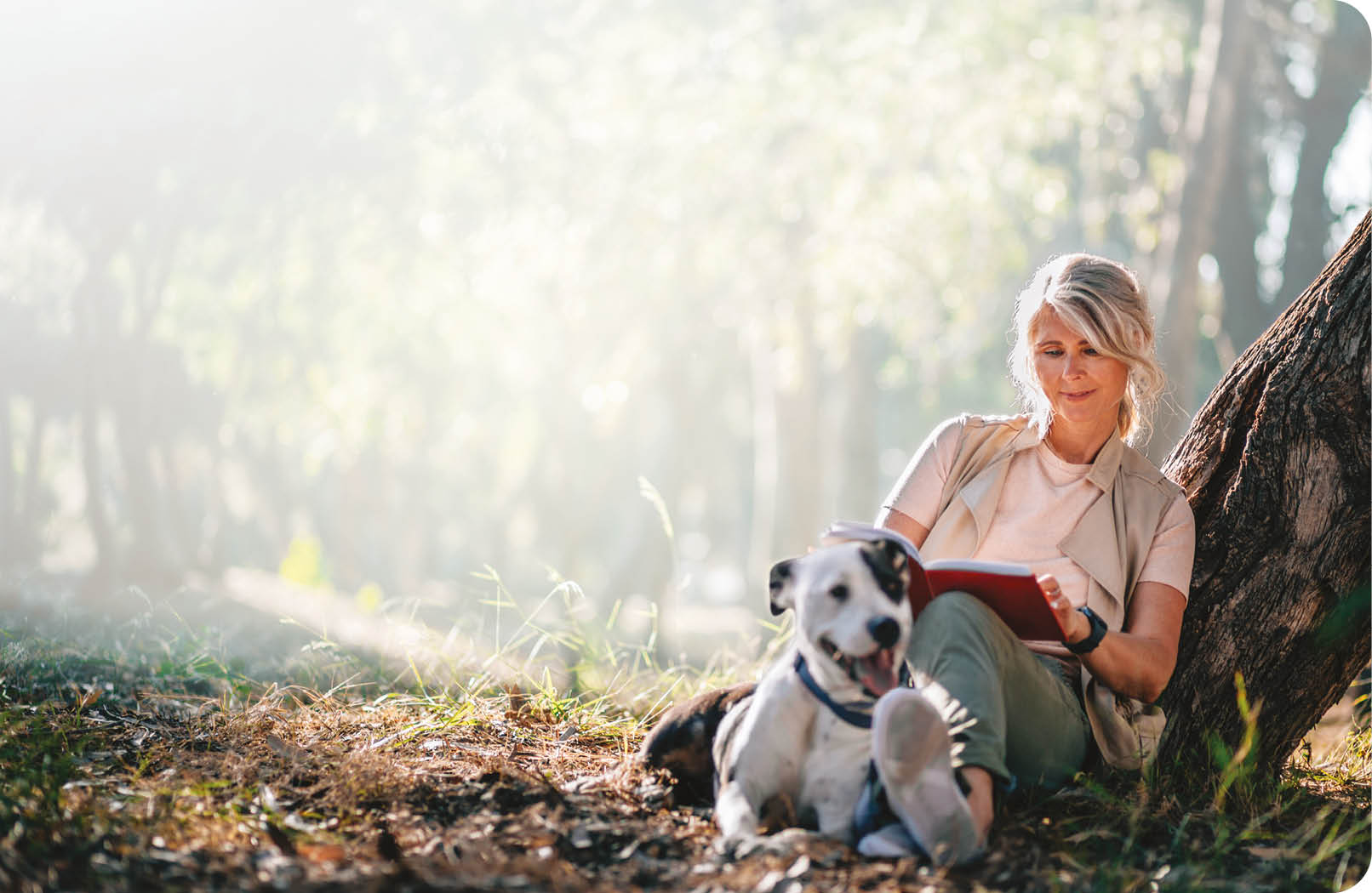 A woman is sitting on the ground with a dog and a book. AI generated content
