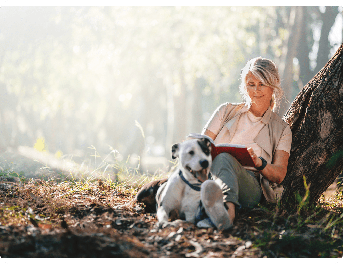 A woman is sitting on the ground with her dog, reading a book. AI generated content