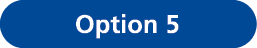 Option 5