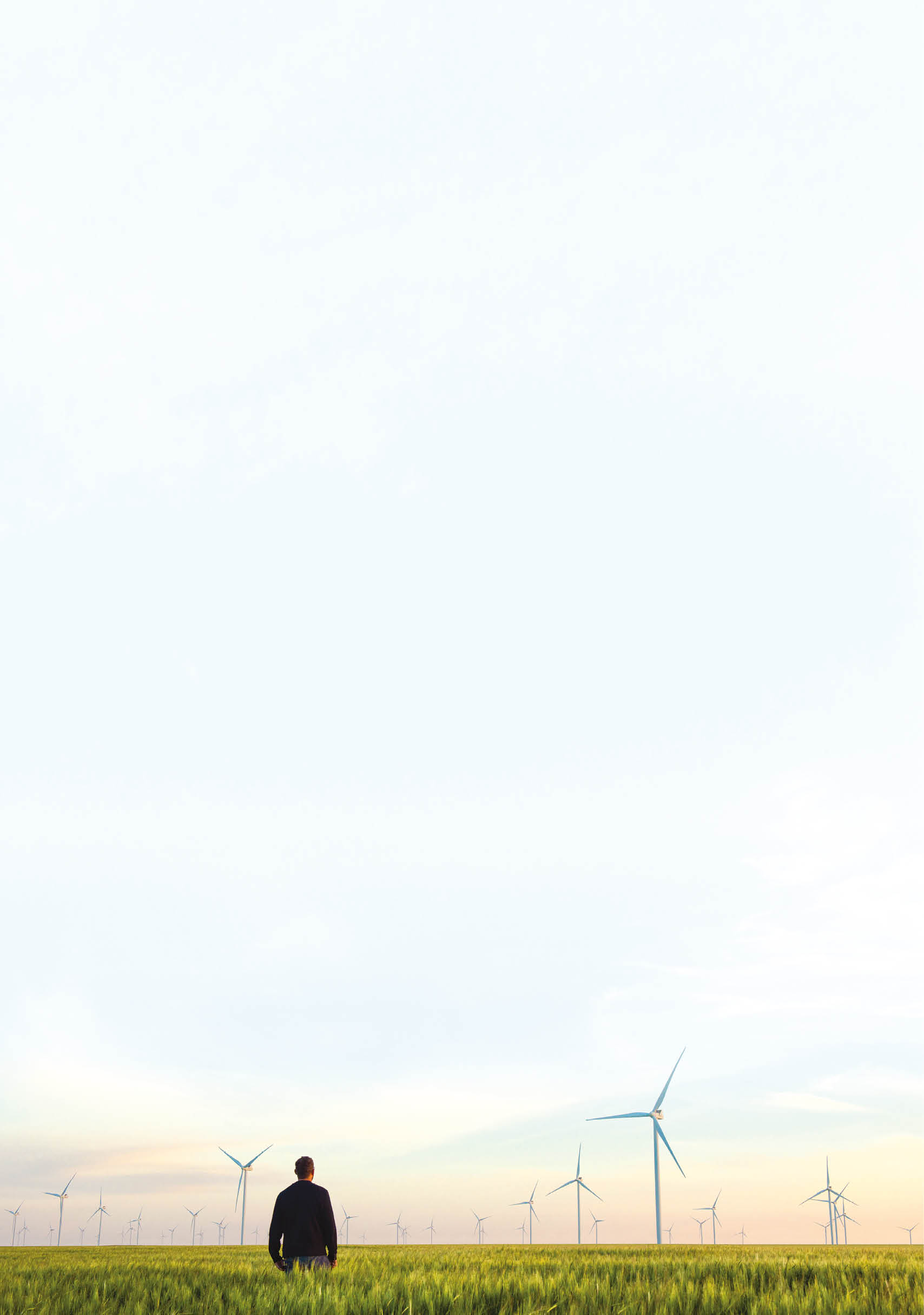 A man standing in a field with windmills in the background. Description generated by AI