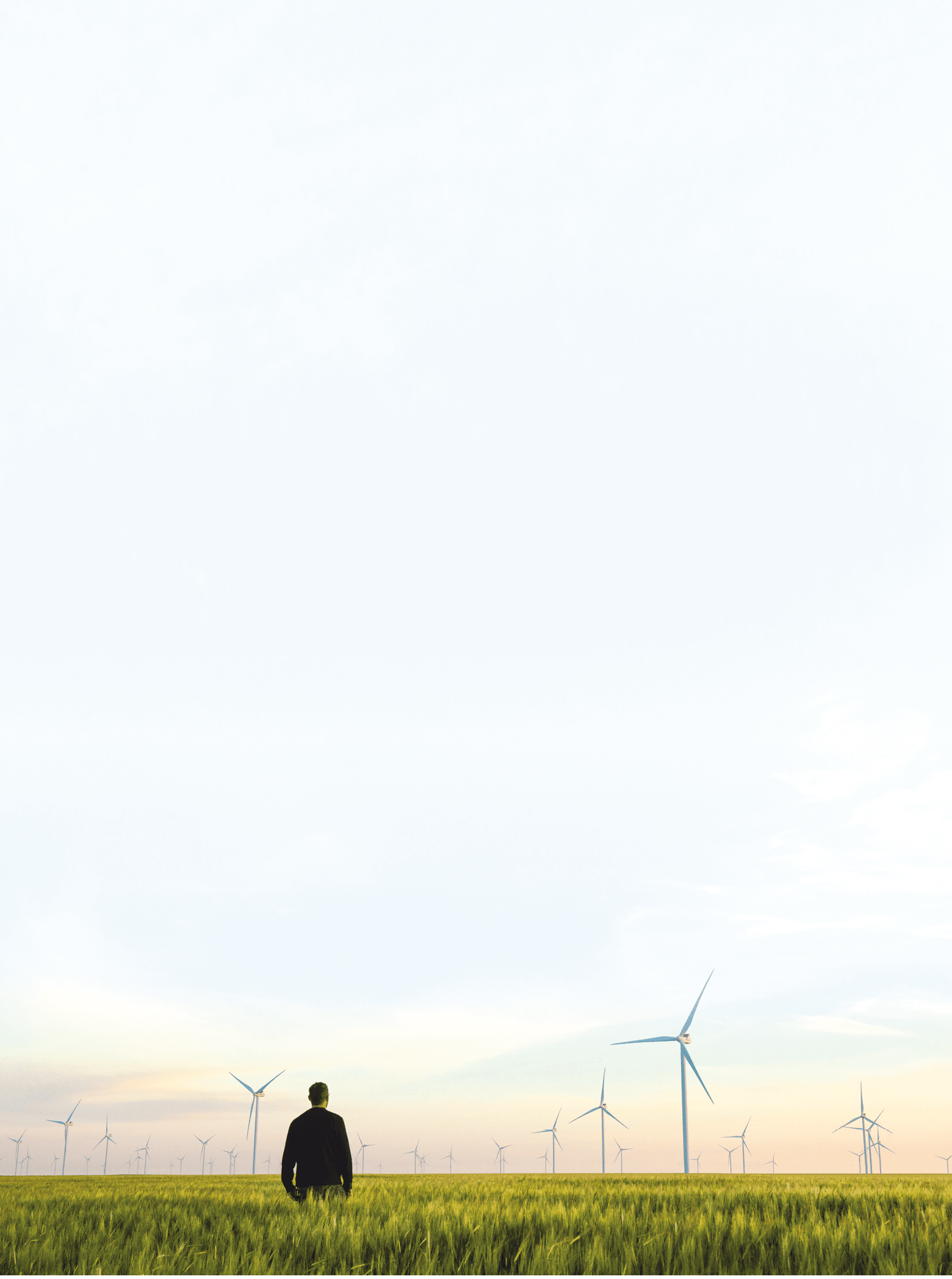 A man standing in a field with windmills in the background. Description generated by AI