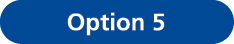 Option 5
