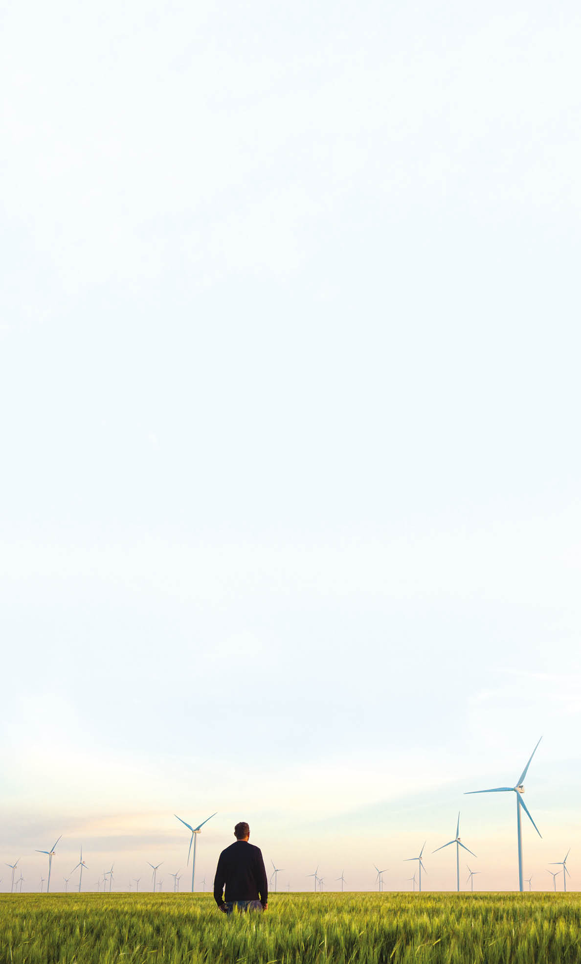 A man standing in a field with windmills in the background. Description generated by AI