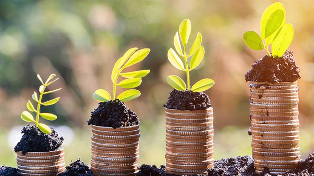 Plants growing out of pots made of coins