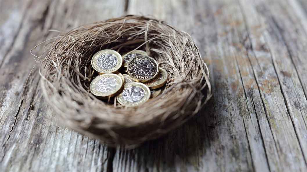 A birds nest full of pound coins